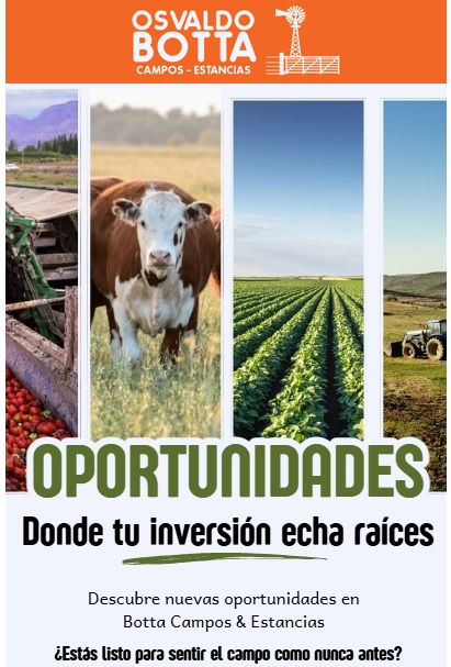 Oportunidades Inversion Campo