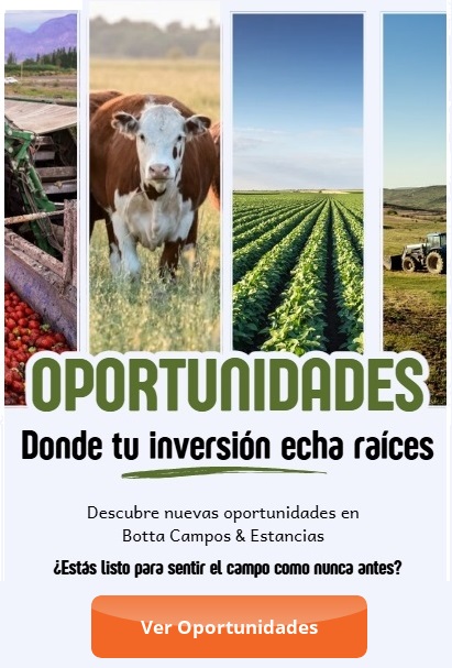 Oportunidades Inversion Campo